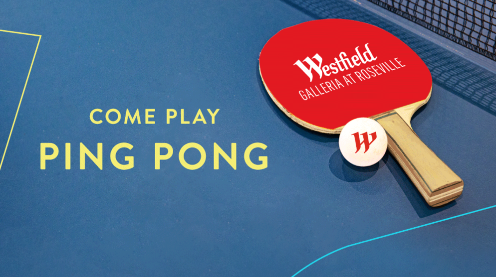 Play a Game of Ping Pong Play a Game of Ping Pong