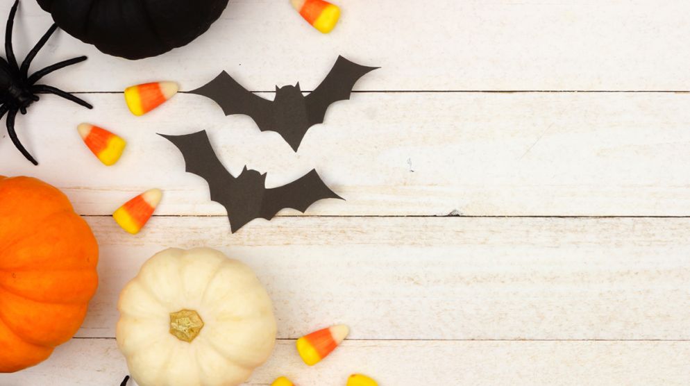Explore a Spooky Pumpkin Experience Explore a Spooky Pumpkin Experience