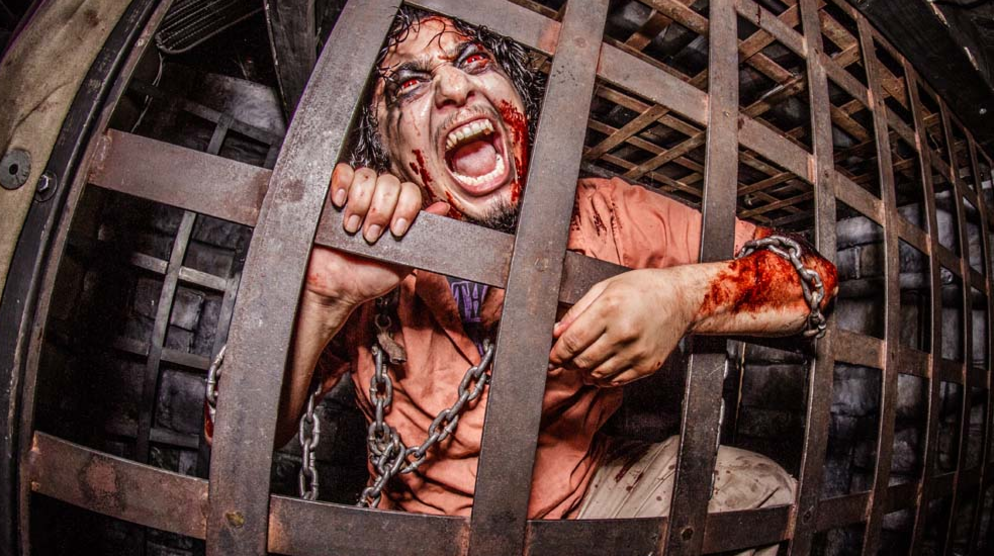 The Haunted Hotel's Disturbance The Haunted Hotel's Disturbance