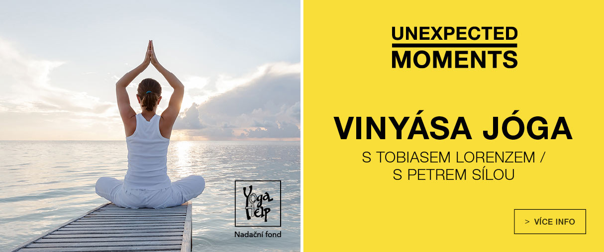 Vinyása jóga Vinyása jóga