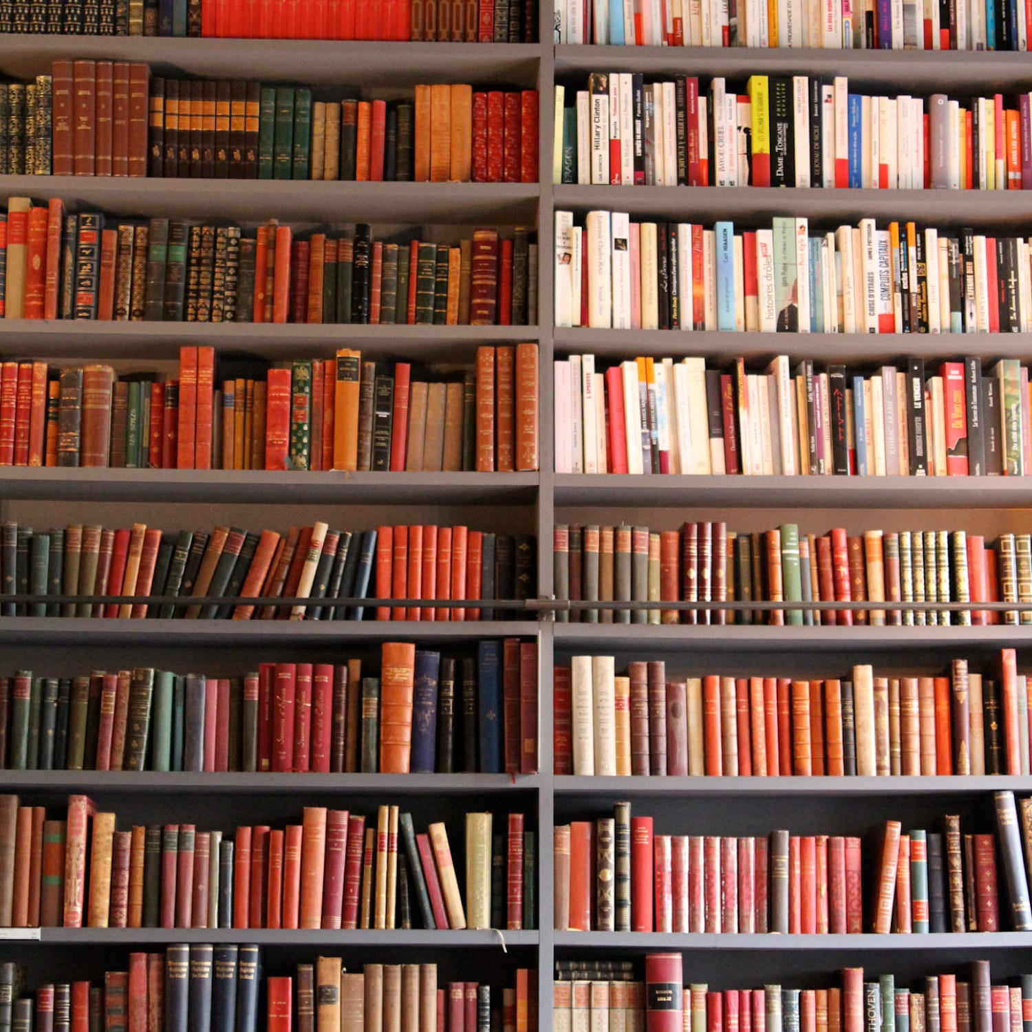 10 % Rabatt für Club Mitglieder