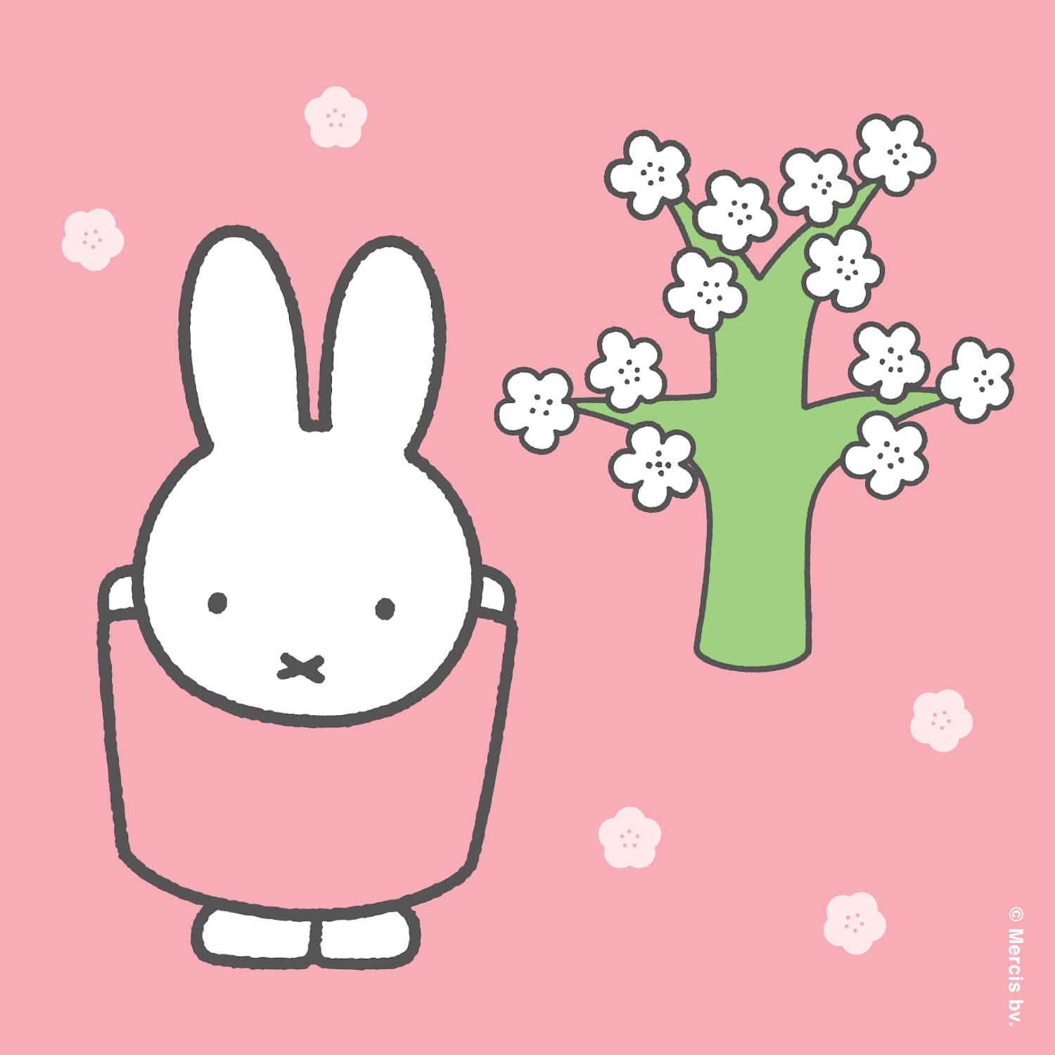 Ichiba: Miffy's Hanami Picnic