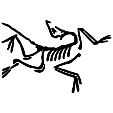 Arc’teryx