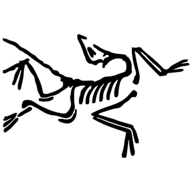Arc’teryx