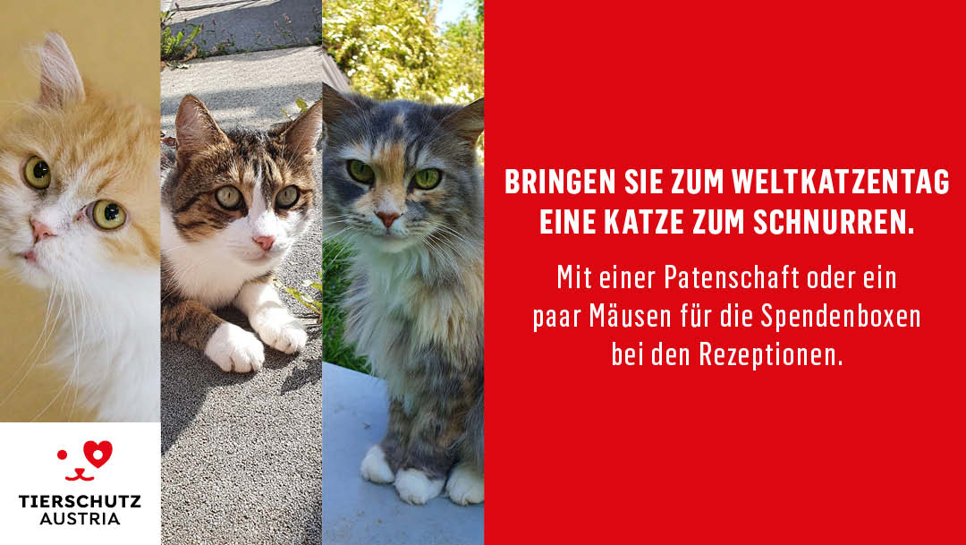 Öffnen Sie Ihr Herz für Tiere Öffnen Sie Ihr Herz für Tiere