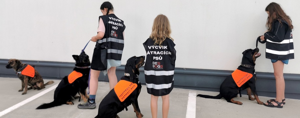 V Centru Černý Most trénují pátrací psi V Centru Černý Most trénují pátrací psi