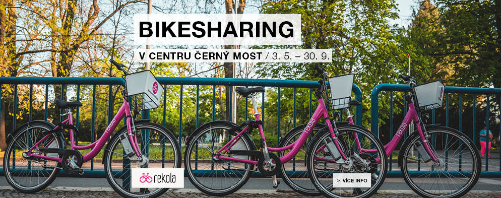 Bikesharing Bikesharing