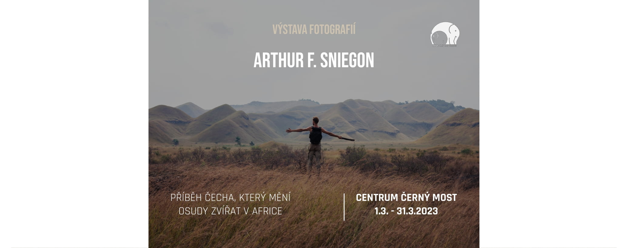 Výstava - Arthur Sniegon Výstava - Arthur Sniegon