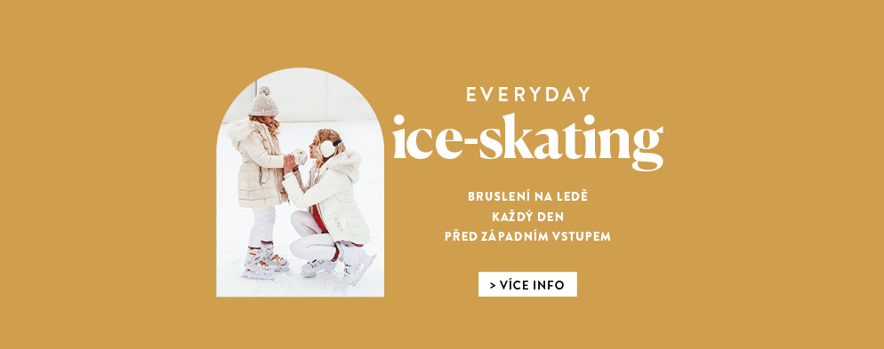 Bruslení na ledě každý den před západním vstupem Bruslení na ledě každý den před západním vstupem