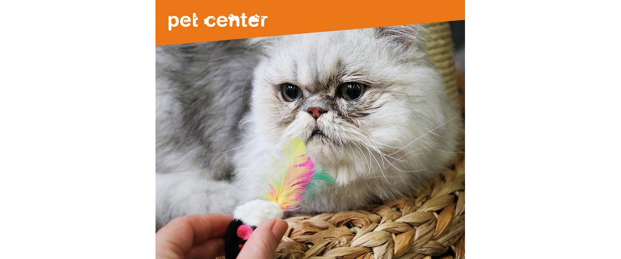 Letní jízda v Pet Center je tady! Letní jízda v Pet Center je tady!