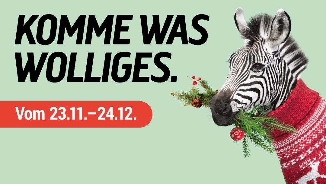 Komme was Wolliges Komme was Wolliges