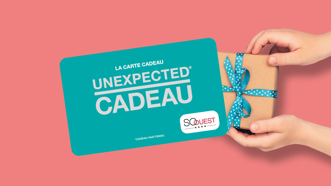 FAITES LE BON CHOIX : OFFREZ UNE CARTE CADEAU FAITES LE BON CHOIX : OFFREZ UNE CARTE CADEAU