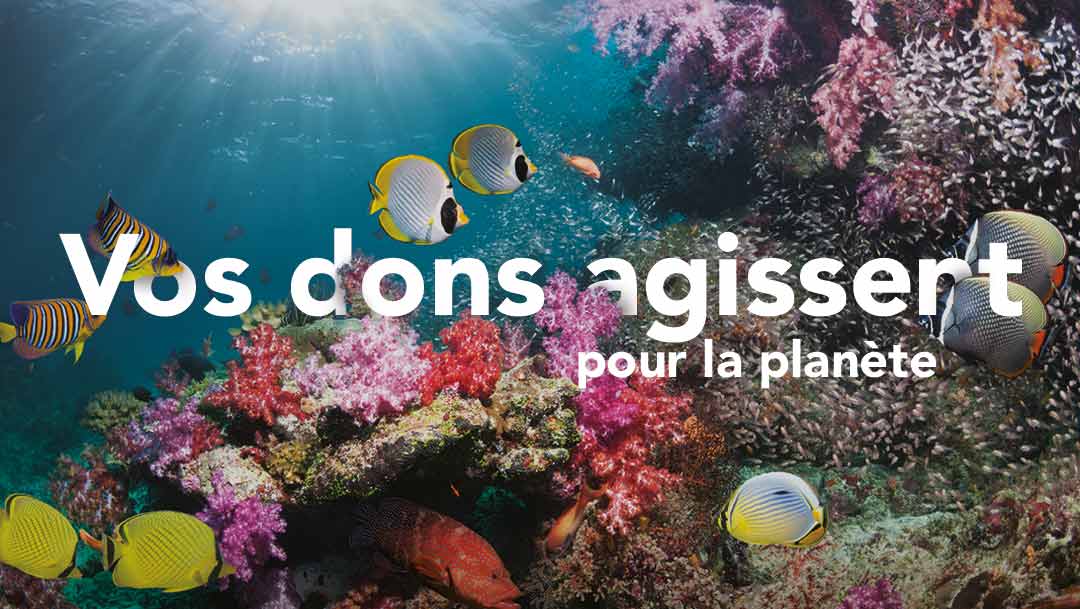 Confluence soutient Vos Dons Agissent Confluence soutient Vos Dons Agissent