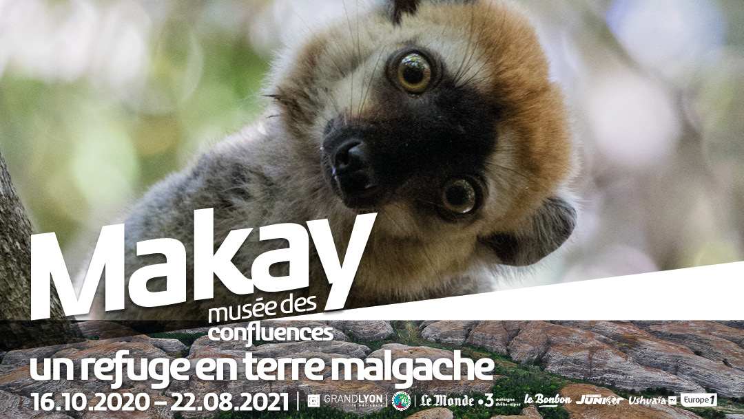 Découvrez l’exposition Makay du Musée des confluences ! Découvrez l’exposition Makay du Musée des confluences !