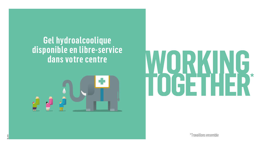 LE PASS SANITAIRE LE PASS SANITAIRE