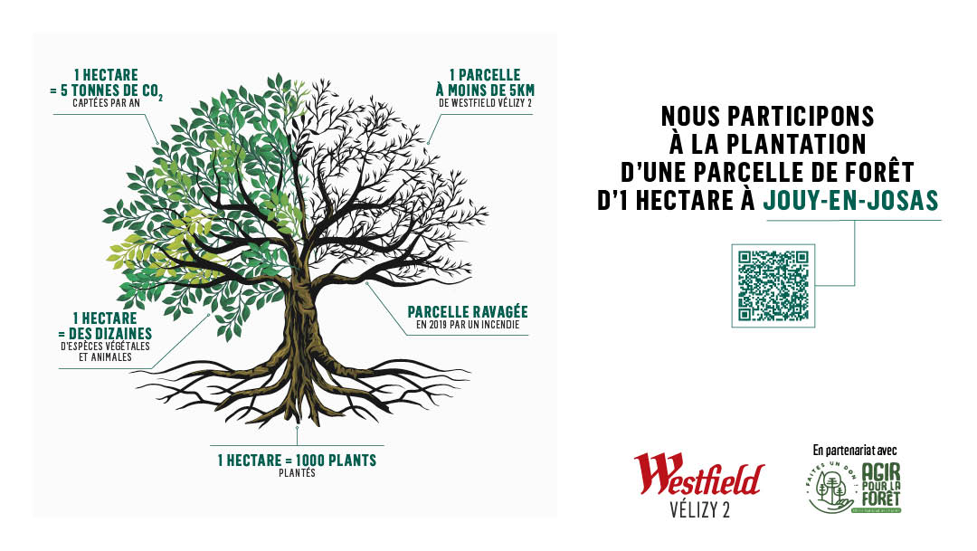 WESTFIELD VELIZY 2 ET ONF FONDS AGIR POUR LA FORET REPLANTENT UNE PARCELLE SINISTREE WESTFIELD VELIZY 2 ET ONF FONDS AGIR POUR LA FORET REPLANTENT UNE PARCELLE SINISTREE