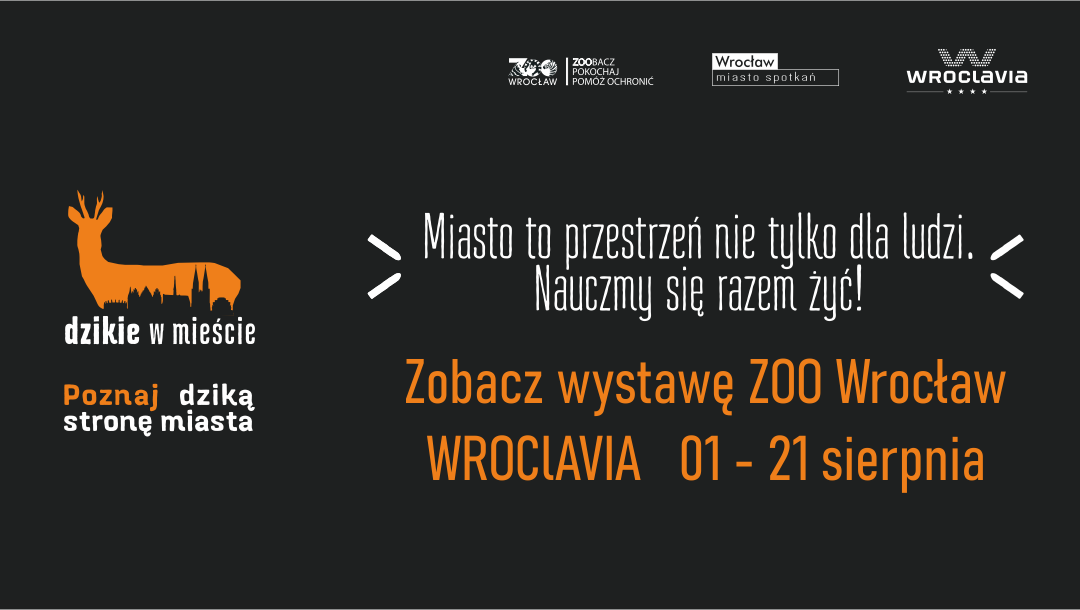 Wystawa „Dzikie w mieście” Wystawa „Dzikie w mieście”