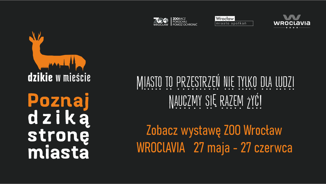 Wystawa „Dzikie w mieście” przed Wroclavią Wystawa „Dzikie w mieście” przed Wroclavią