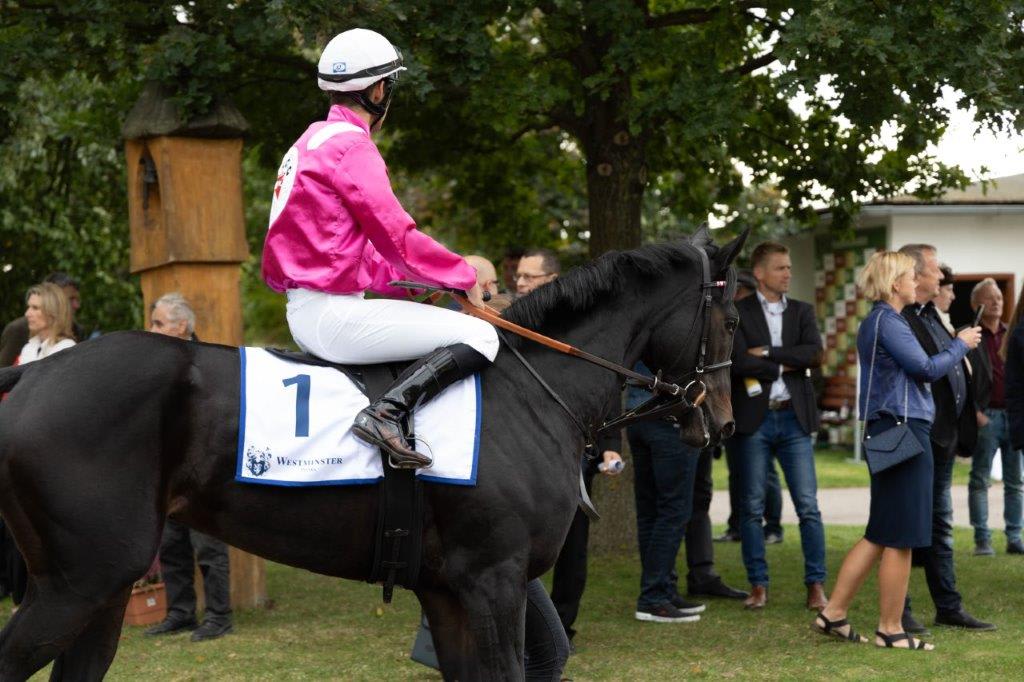 Pardubice Racecourseundefined