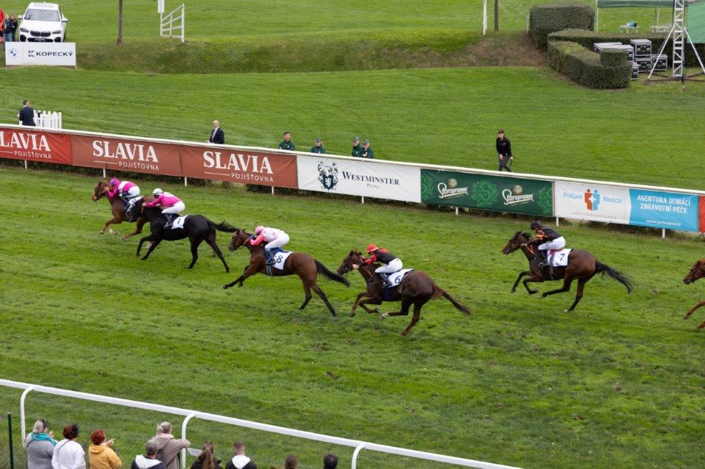 Pardubice Racecourseundefined