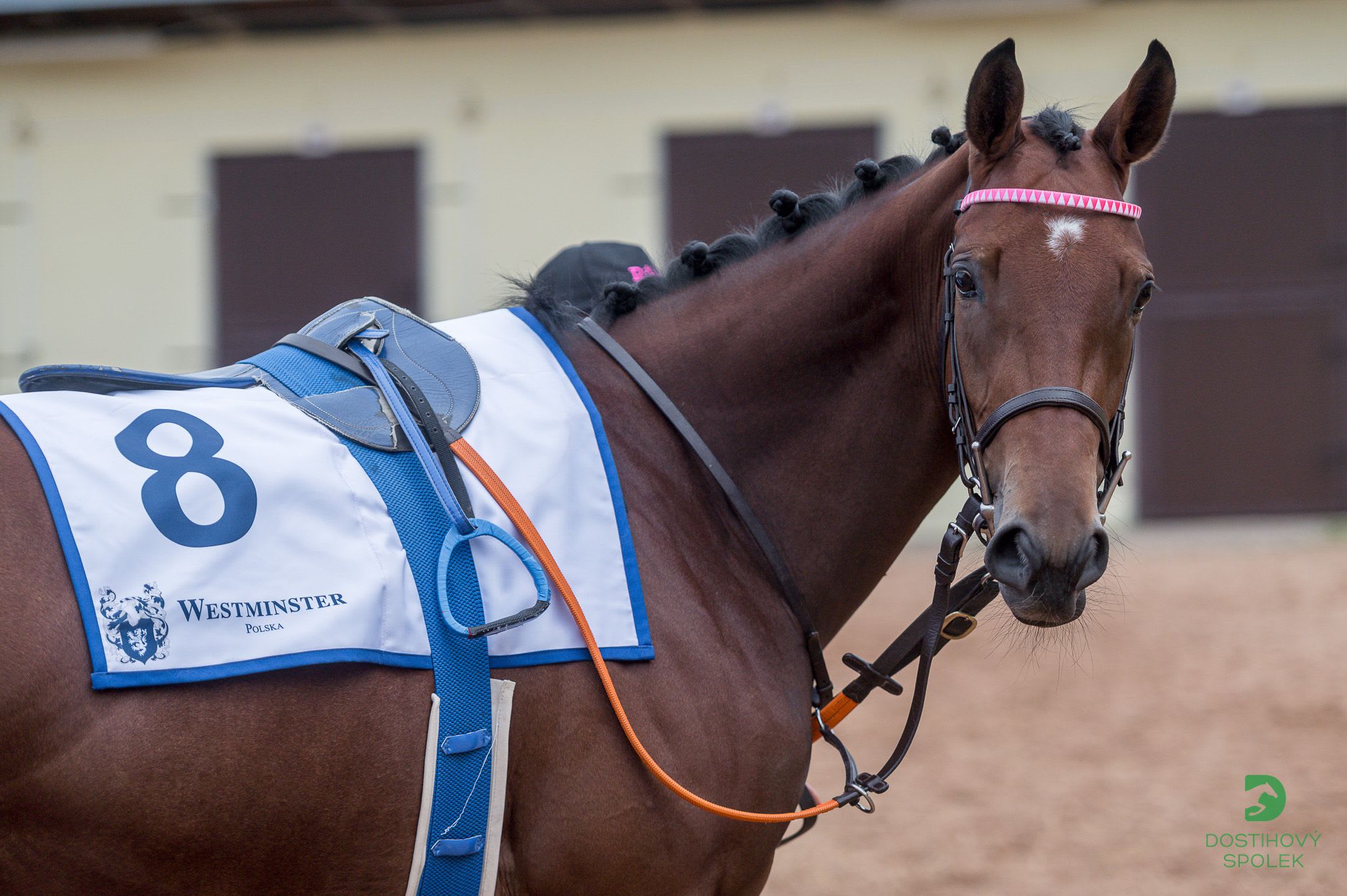 Pardubice Racecourseundefined