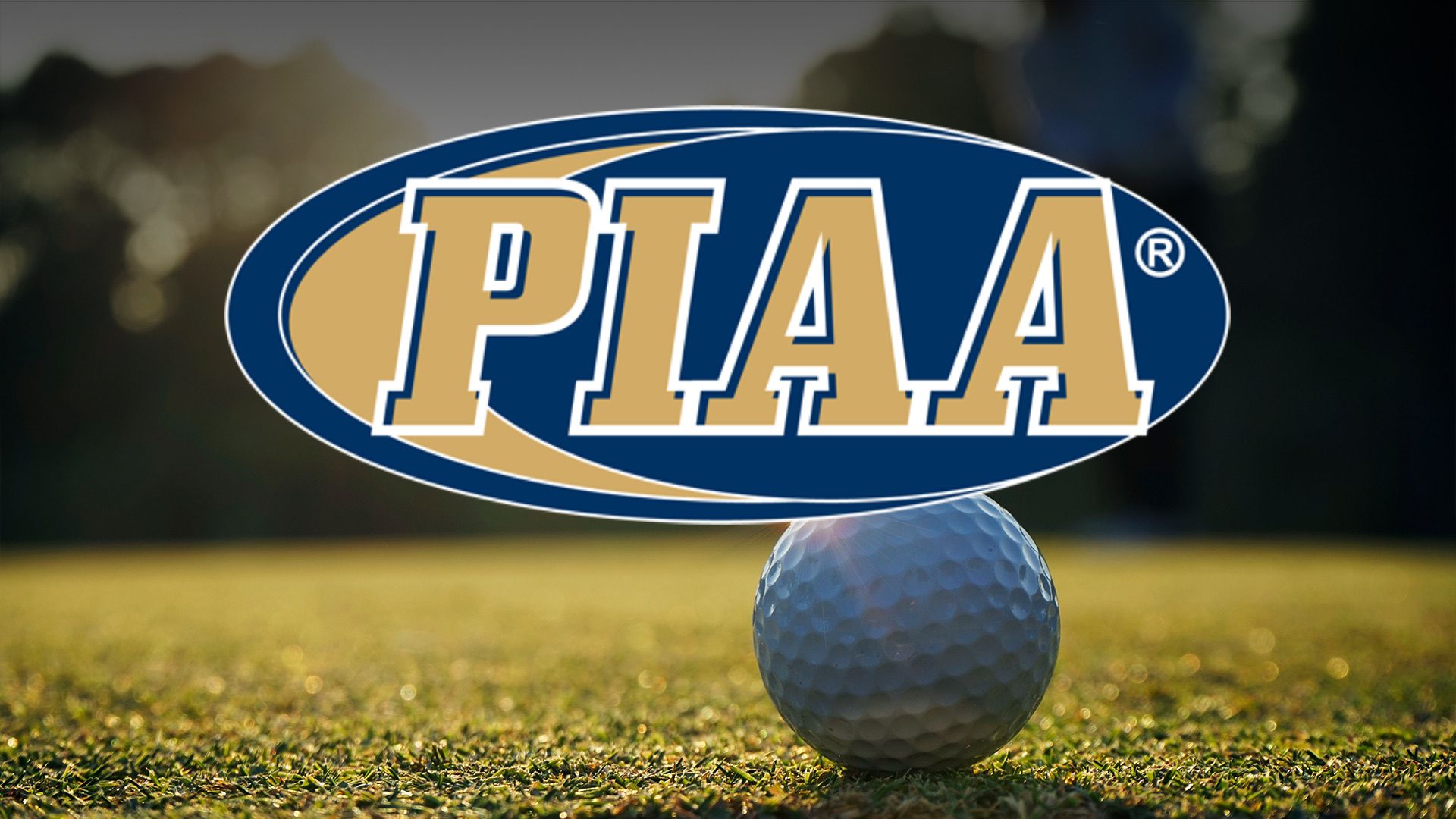 Three area golfers finish in top 25 at PIAA Championships