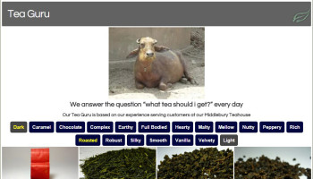 Tea Guru, a custom plugin for filtering by product traits