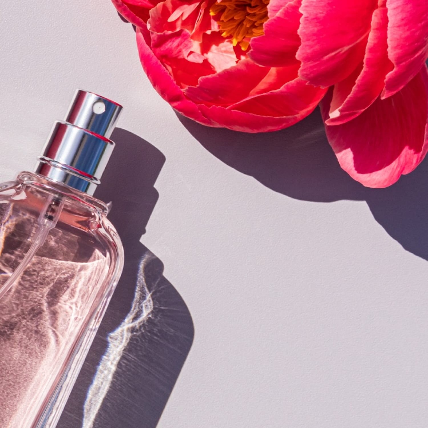 Retailer Logo Background Description