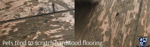 Choosing the right pet-friendly hardwood floor