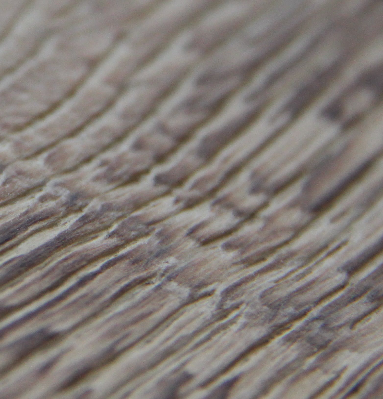 Dinant Stained Oak Weathered Oiled Engineered Hardwood Flooring - Image 2