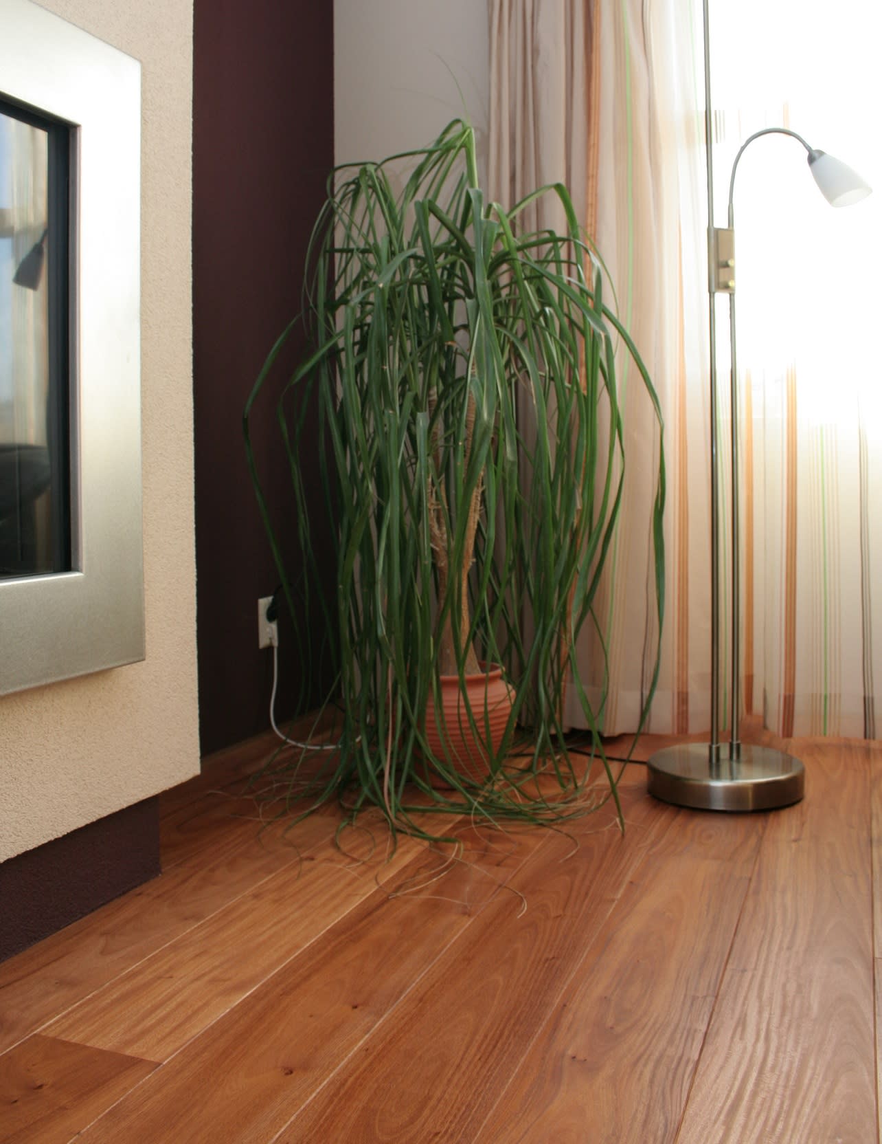 Ybyraro - Ajunao Lacquered Hardwood Flooring - Image 6