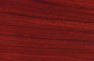Padauk (Andaman) Lacquered Solid Hardwood Flooring (Andaman) - Image 2