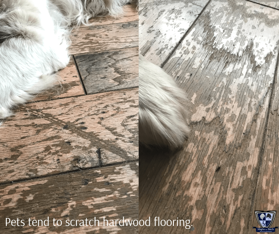 Choosing The Right Pet Friendly Hardwood Floor