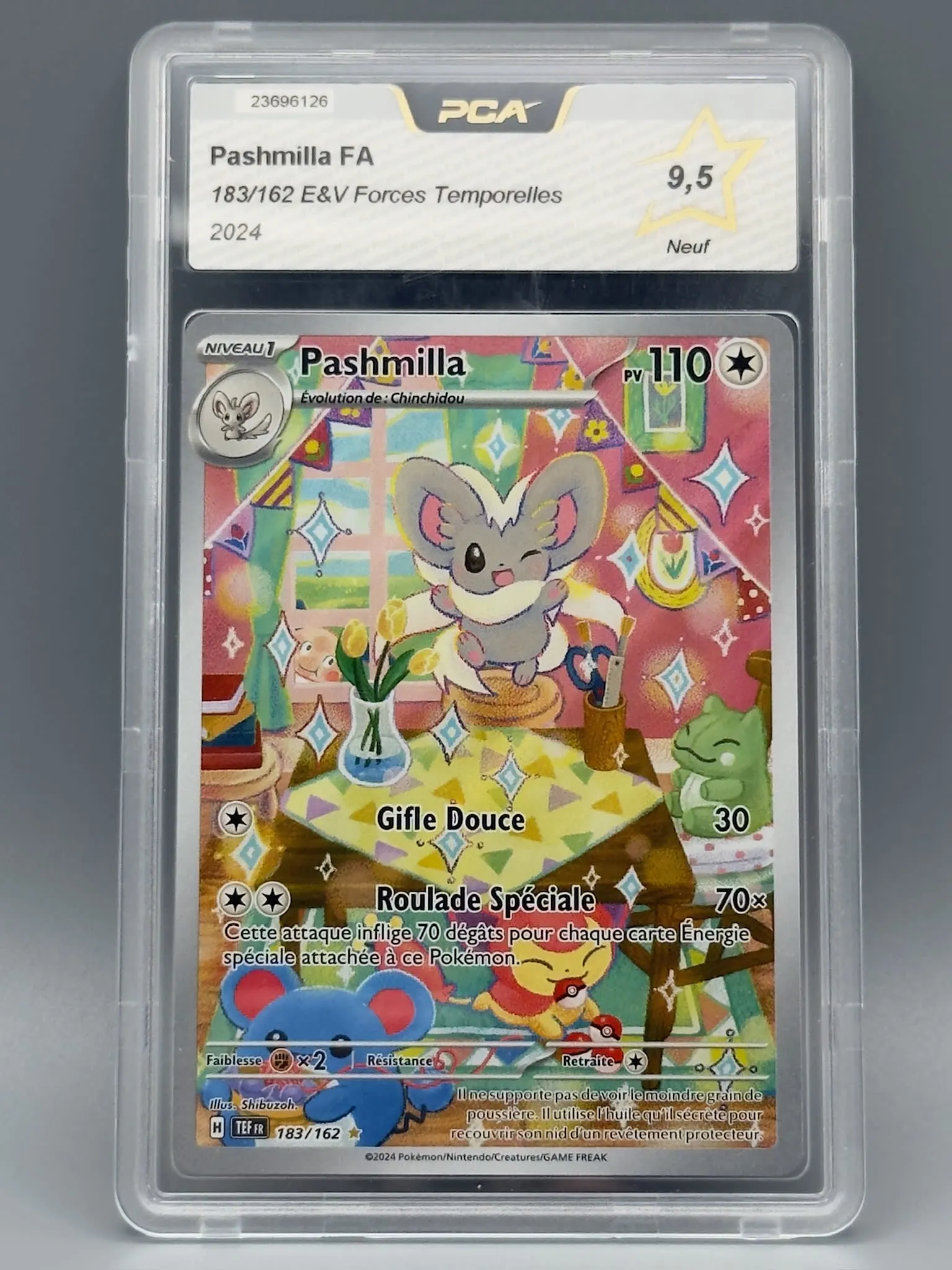Pashmilla FA