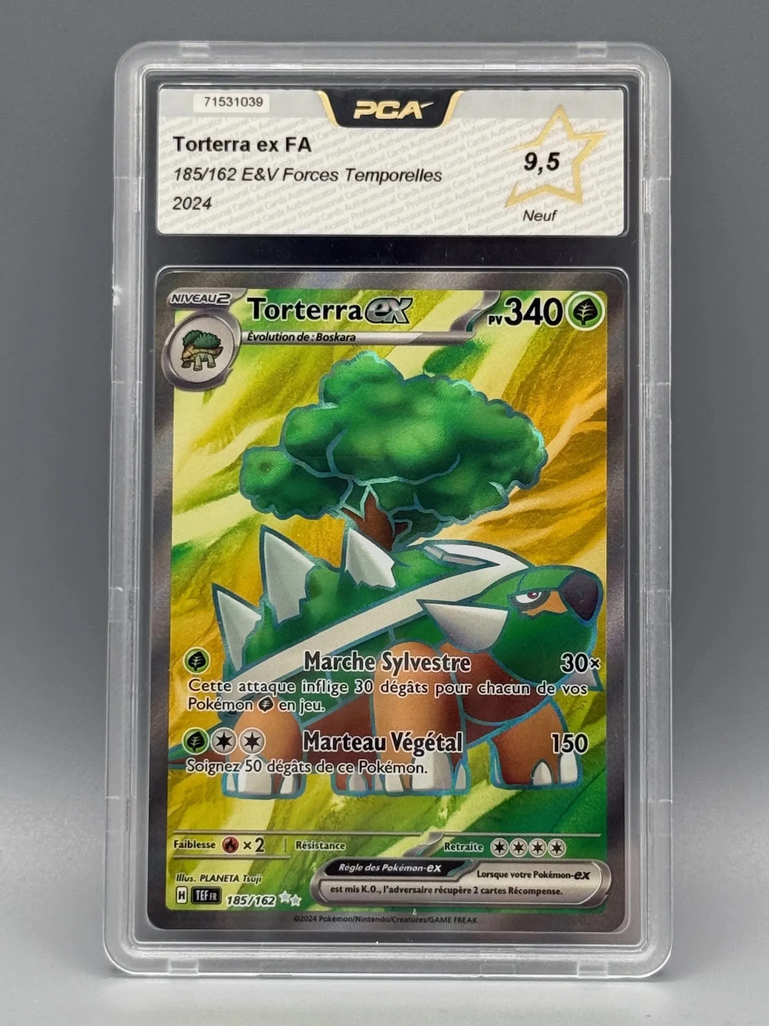 Torterra ex FA