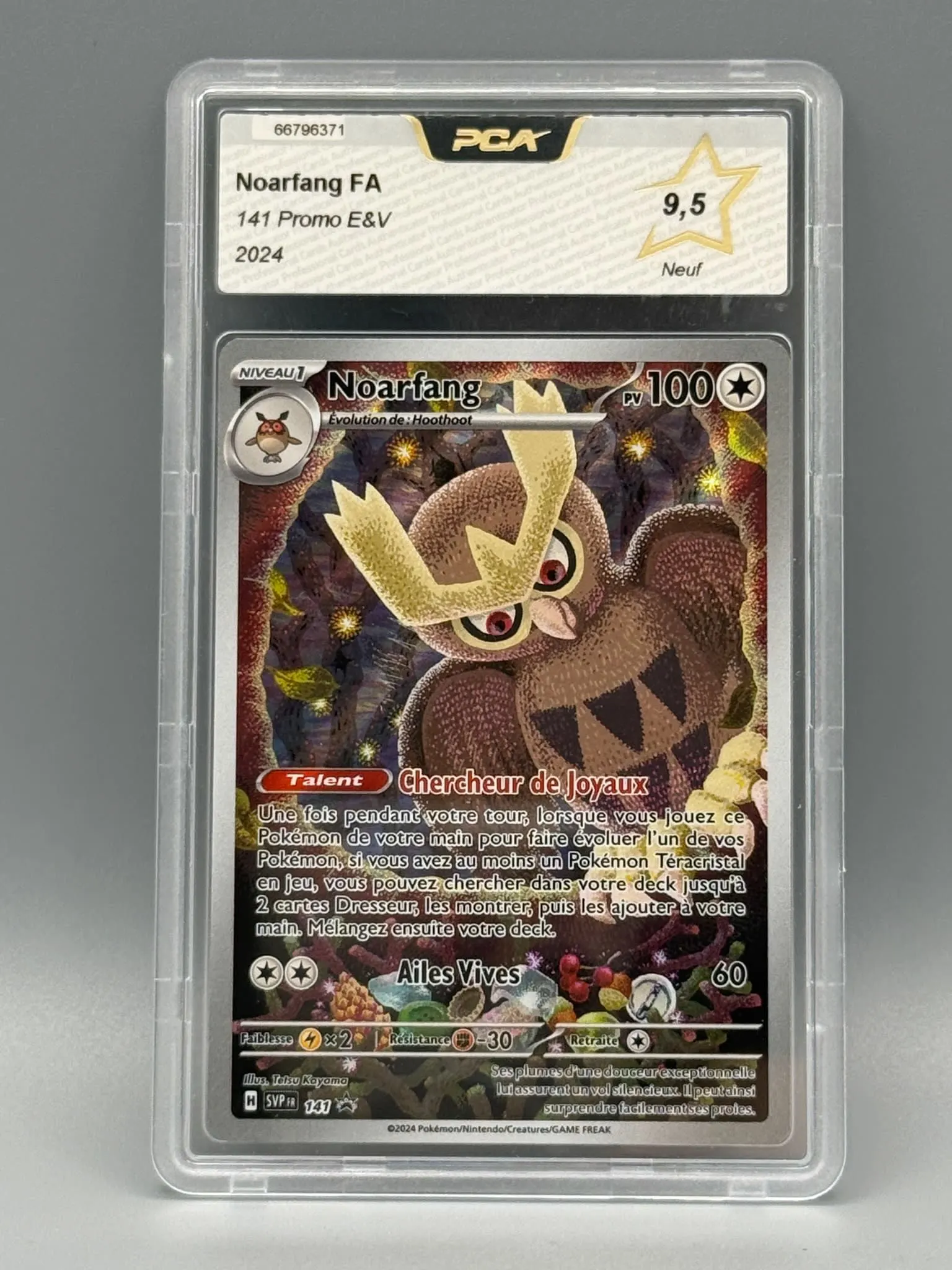 Noarfang FA