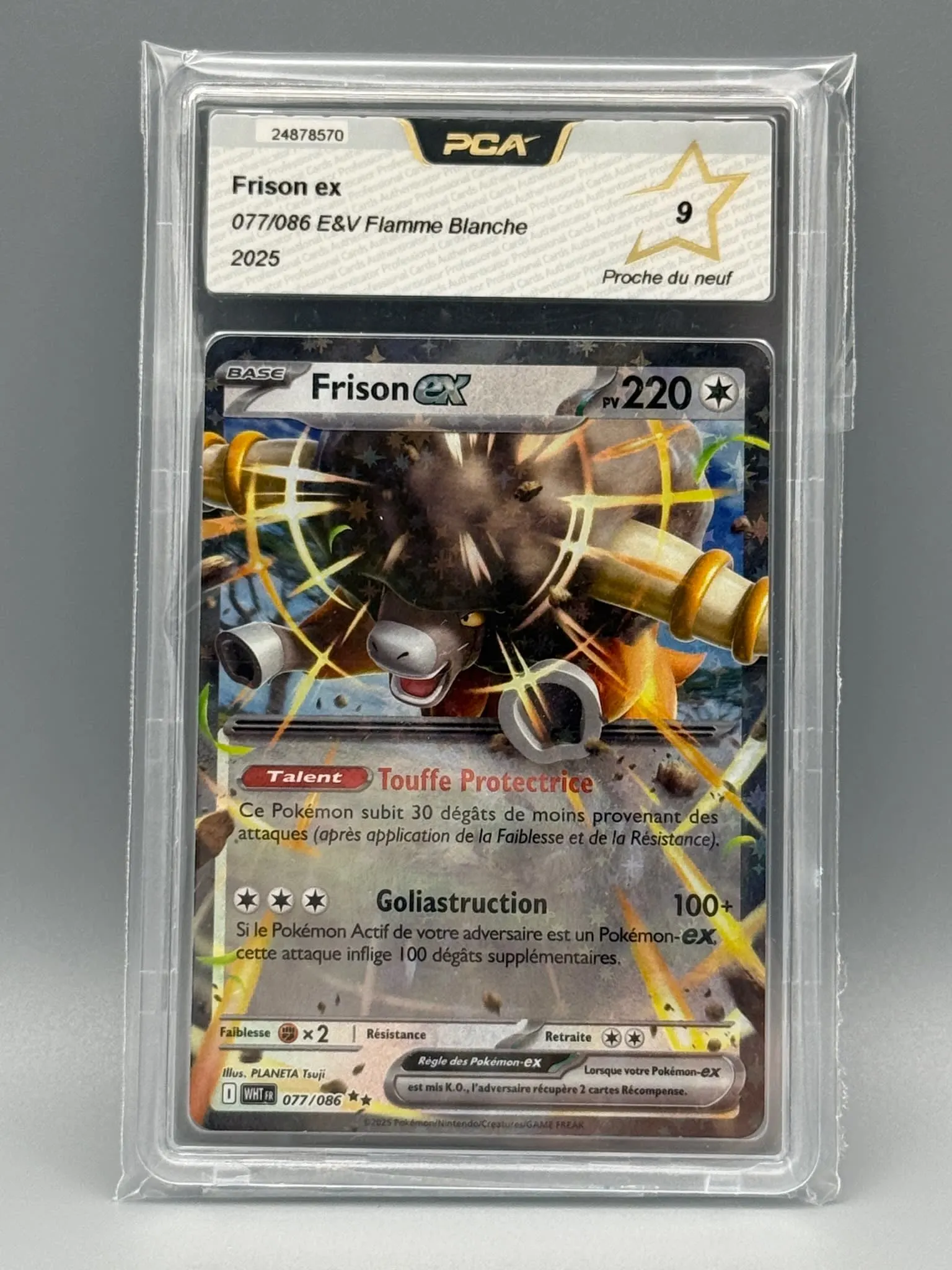 Frison ex