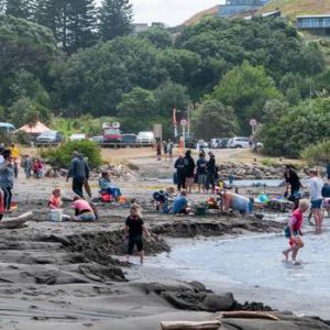 More than 150 people turned out for the second annual Kai Iwi Beach Dig. Photo / Lewis Gardner. More than 150 people turned out for the second annual Kai Iwi Beach Dig. Photo / Lewis Gardner.