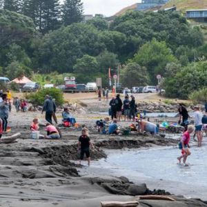 More than 150 people turned out for the second annual Kai Iwi Beach Dig.  Photo / Lewis Gardner.