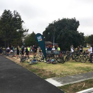 At 8am, Cornmarket Reserve is humming with cyclists. Photo / Norman Gruebsch.