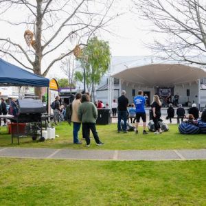 Between 300 to 400 people came out for the event on Saturday afternoon. Photo / Lewis Gardner.