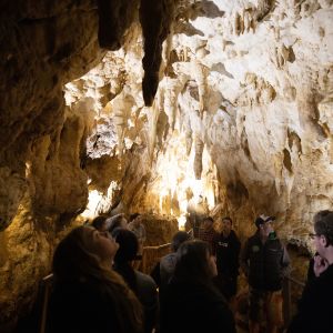 Waitomo Caves.  BLAKE's photographer Brendon O’Hagan.