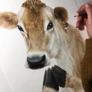 Dickison is currently putting the finishing touches on Holy Cow. Photo / Supplied.