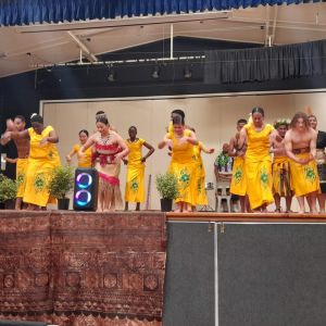 Samoan dance (photo taken Fiafia night).