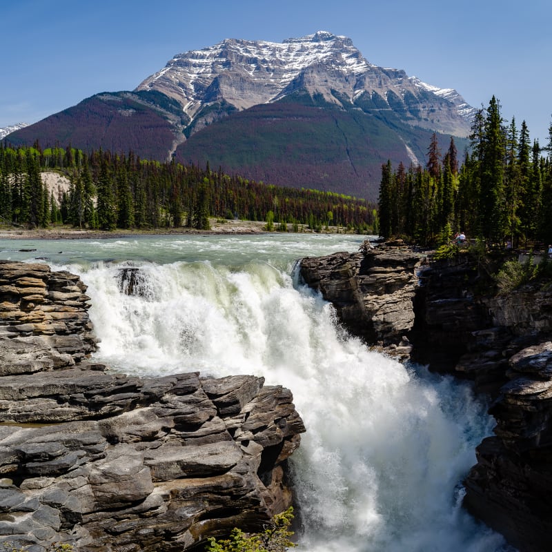 athabasca falls