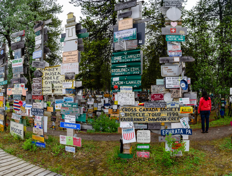 posts covered with signs