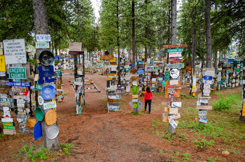 sushila walking through the sign post forest