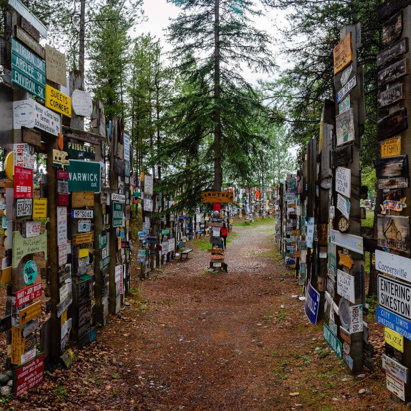 posts covered with signs