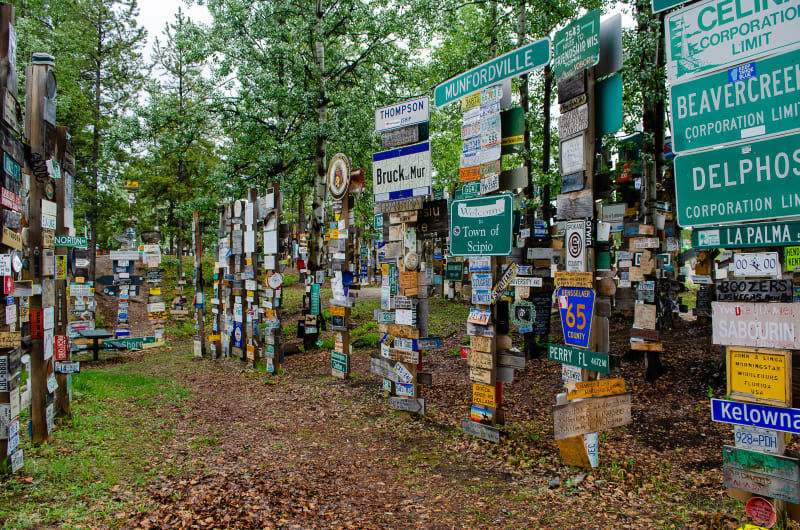 posts covered with signs