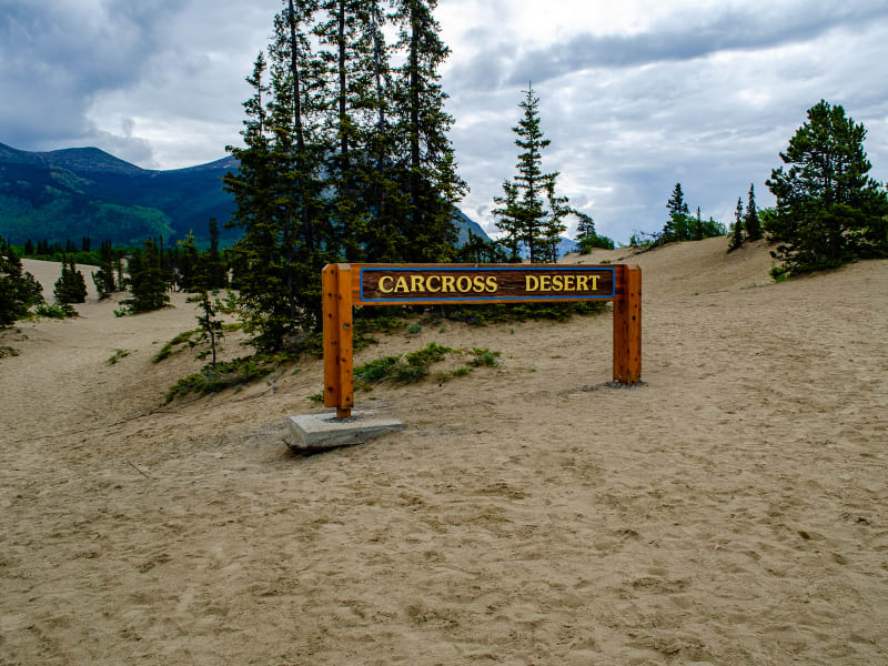 carcross desert sign